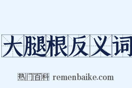 大腿根反义词是什么意思的图片